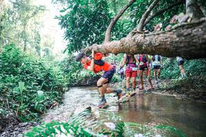 BIB: 
                            <button type="button" onclick="openModal(25454694)" class="btn btn-primary btn-sm float-right btn-popup" data-toggle="modal" data-target=".modal-high-quality">
                        <i class="fas fa-shopping-cart"></i> Add to Cart
                    </button>
                                            <button type="button" onclick="isThisMe(25454694, true)" class="btn btn-success btn-sm float-right btn-popup btn-isme hidden" data-toggle="tooltip" data-placement="bottom" title="นี่คือรูปของคุณใช่ไหม คลิกที่นี่เพื่อเอาเข้าอัลบั้ม">
                        <i class="fas fa-plus"></i> Add to album
                    </button>
                    <button type="button" onclick="isThisMe(25454694, false)" class="btn btn-warning btn-sm float-right btn-popup btn-isnotme hidden">
                        <i class="fas fa-ban"></i> Remove from album
                    </button>